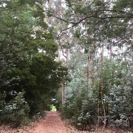 Σπίτι διακοπών Moradia Proxima Da Do Areinho, Na Ria, E Dos Marretas Οβάρ