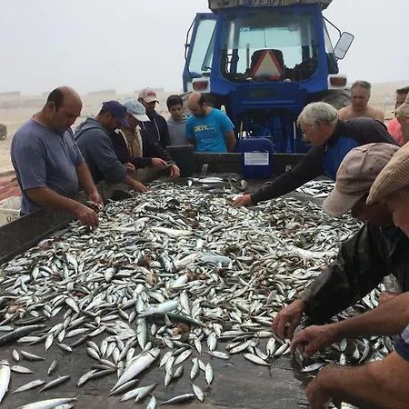 Moradia Proxima Da Do Areinho, Na Ria, E Dos Marretas