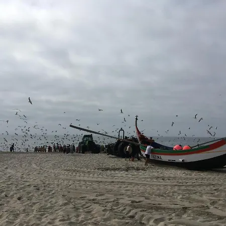 Moradia Proxima Da Do Areinho, Na Ria, E Dos Marretas