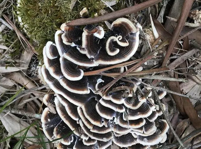 Moradia Proxima Da Do Areinho, Na Ria, E Dos Marretas بيت للعطل أوفار