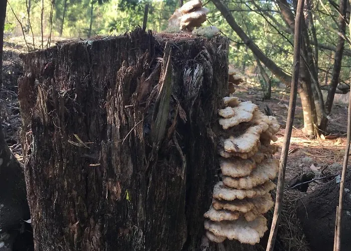 بيت للعطل Moradia Proxima Da Do Areinho, Na Ria, E Dos Marretas