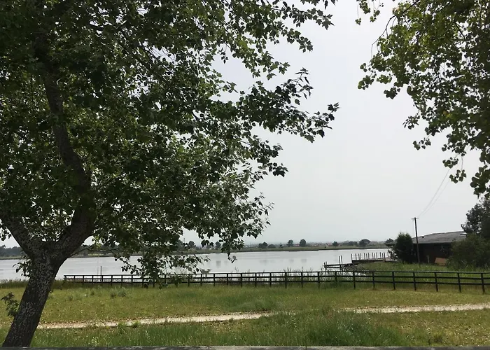 بيت للعطل Moradia Proxima Da Do Areinho, Na Ria, E Dos Marretas