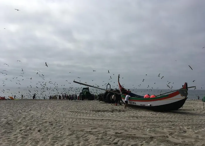 Moradia Proxima Da Do Areinho, Na Ria, E Dos Marretas