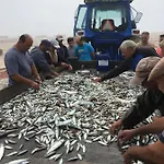 Moradia Proxima Da Do Areinho, Na Ria, E Dos Marretas