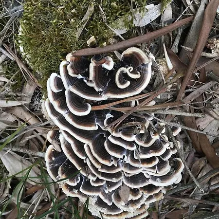 Moradia Proxima Da Do Areinho, Na Ria, E Dos Marretas Vakantiehuis Ovar