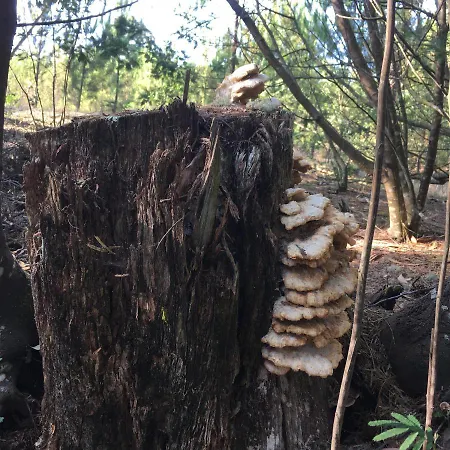 Vakantiehuis Moradia Proxima Da Do Areinho, Na Ria, E Dos Marretas