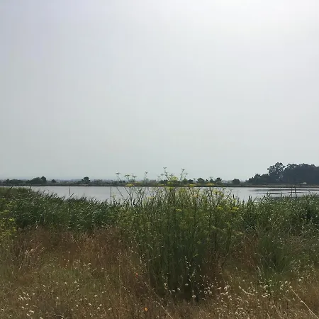 Moradia Proxima Da Do Areinho, Na Ria, E Dos Marretas Vakantiehuis *