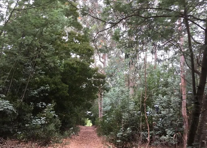 Hébergement de vacances Moradia Proxima Da Do Areinho, Na Ria, E Dos Marretas Ovar