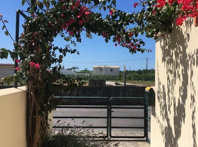 Moradia Proxima Da Do Areinho, Na Ria, E Dos Marretas Holiday home Ovar